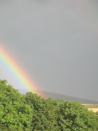 regenbogen